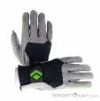 Black Diamond Ice Joy Comp Climbing Gloves, , Light-Gray, , Male,Female,Unisex, 0056-11380, 5638235844, , N1-01.jpg