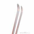 Fischer The Curv GTX + RX 13 GW Set de ski 2025, Fischer, Multicolore, , Hommes,Unisex, 0054-10430, 5638236629, 9002973023162, N2-07.jpg