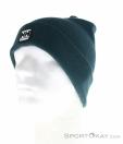 Helly Hansen Urban Cuff Beanie Beanie, Helly Hansen, Blue, , Male,Female,Unisex, 0444-10028, 5638237368, 7040059298617, N1-06.jpg