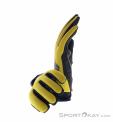 Fox Defend Thermo Winter Biking Gloves, Fox, Yellow, , Male,Female,Unisex, 0236-11053, 5638238379, 191972957413, N1-06.jpg