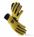 Fox Defend Thermo Winter Biking Gloves, Fox, Yellow, , Male,Female,Unisex, 0236-11053, 5638238379, 191972957413, N4-04.jpg