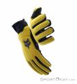 Fox Defend Thermo Winter Biking Gloves, Fox, Yellow, , Male,Female,Unisex, 0236-11053, 5638238379, 191972957413, N5-05.jpg