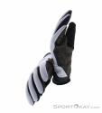 Fox Defend Thermo Winter Bikehandschuhe, Fox, Hell-Grau, , Herren,Damen,Unisex, 0236-11053, 5638238386, 191972861437, N2-07.jpg