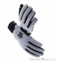 Fox Defend Thermo Winter Biking Gloves, Fox, Light-Gray, , Male,Female,Unisex, 0236-11053, 5638238386, 191972861451, N4-04.jpg