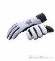 Fox Defend Thermo Winter Biking Gloves, Fox, Light-Gray, , Male,Female,Unisex, 0236-11053, 5638238386, 191972861451, N5-10.jpg