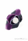 Dynafit Radical Polartec Femmes Pulls, Dynafit, Lilas, , Femmes, 0015-11796, 5638241777, 4053866578769, N5-20.jpg