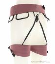 Edelrid Autana Klettergurt, , Pink-Rosa, , Herren,Damen,Unisex, 0084-10540, 5638242581, 4028545191942, N1-11.jpg