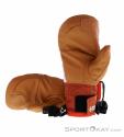 Black Diamond Progression Mitts Damen Handschuhe, Black Diamond, Mehrfarbig, , Damen, 0056-11423, 5638244300, 793661643340, N1-11.jpg