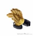 Black Diamond Tour Gloves, Black Diamond, Beige, , Male,Female,Unisex, 0056-11418, 5638244309, 793661651345, N3-13.jpg