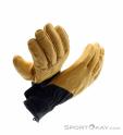 Black Diamond Tour Gloves, Black Diamond, Beige, , Male,Female,Unisex, 0056-11418, 5638244309, 793661651338, N4-19.jpg