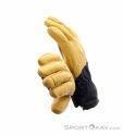 Black Diamond Tour Gloves, Black Diamond, Beige, , Male,Female,Unisex, 0056-11418, 5638244309, 793661651345, N5-15.jpg