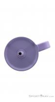 Hydro Flask 32oz All Around Travel Tumbler Thermo Cup, Hydro Flask, Purple, , , 0311-10091, 5638244857, 840394204000, N5-20.jpg