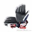 Reusch Alexis Pinturault Herren Skihandschuhe, Reusch, Weiss, , Herren, 0124-10122, 5638246366, 4060485505496, N1-11.jpg