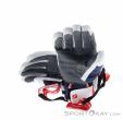 Reusch Alexis Pinturault Herren Skihandschuhe, Reusch, Weiss, , Herren, 0124-10122, 5638246366, 4060485505496, N2-12.jpg