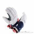 Reusch Alexis Pinturault Herren Skihandschuhe, Reusch, Weiss, , Herren, 0124-10122, 5638246366, 4060485505496, N3-18.jpg