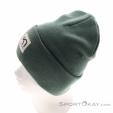 Kari Traa Rothe Women Beanie, Kari Traa, Olive-Dark Green, , Female, 0281-10187, 5638246576, 7048652847188, N3-08.jpg