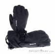 Dakine Leather Sequoia Glove GTX Damen Skihandschuhe Gore-Tex, Dakine, Schwarz, , Damen, 0200-10186, 5638247912, 194626558035, N1-01.jpg