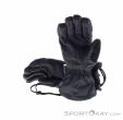 Dakine Leather Sequoia Glove GTX Damen Skihandschuhe Gore-Tex, Dakine, Schwarz, , Damen, 0200-10186, 5638247912, 194626558035, N2-12.jpg