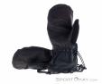 Dakine Leather Titan Mitt GTX Uomo Guanti da Sci Gore-Tex, , Nero, , Uomo, 0200-10188, 5638247922, , N1-11.jpg