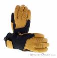 Ziener Ganzenberg As Aw Hommes Gants de ski, Ziener, Beige, , Hommes, 0358-10179, 5638248684, 4063833006034, N2-02.jpg