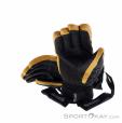 Ziener Ganzenberg As Aw Hommes Gants de ski, Ziener, Beige, , Hommes, 0358-10179, 5638248684, 4063833006034, N2-12.jpg