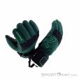 Ziener Lotar PR Niños Guantes para ski Gore-Tex, Ziener, Verde, , , 0358-10181, 5638248711, 4067988063997, N4-19.jpg