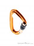 Grivel Plume Nut K3N Screwgate Carabiner, Grivel, Orange, , Male,Female,Unisex, 0123-10227, 5638249064, 8033971653632, N3-03.jpg