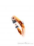 Grivel Plume Nut K3N Screwgate Carabiner, Grivel, Orange, , Male,Female,Unisex, 0123-10227, 5638249064, 8033971653632, N4-14.jpg