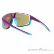 Julbo Fury Sunglasses, Julbo, Purple, , Male,Female,Unisex, 0010-10122, 5638252388, 3660576309241, N1-11.jpg