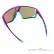 Julbo Fury Sunglasses, Julbo, Purple, , Male,Female,Unisex, 0010-10122, 5638252388, 3660576309241, N2-12.jpg