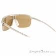 Julbo Frequency Sunglasses, Julbo, Light-Gray, , Male,Female,Unisex, 0010-10139, 5638252398, 3660576310957, N1-11.jpg