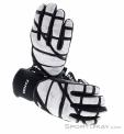 Zanier X-treme XGX Handschuhe, Zanier, Weiss, , Herren,Damen,Unisex, 0121-10051, 5638252450, 9008541396966, N3-03.jpg