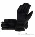 Level Hero Mens Ski Gloves, , Black, , Male, 0250-10073, 5638252485, 0, N1-11.jpg