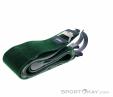 Colltex Vreneli Ready 120mm Ski Touring Skins, Colltex, Green, , , 0045-10058, 5638253364, 7611818136039, N2-17.jpg