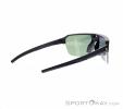 Alpina Swift HR Sunglasses, Alpina, Black, , Male,Female,Unisex, 0027-10257, 5638253410, 4003692327277, N1-16.jpg