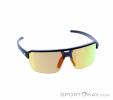 Alpina Swift HR Sunglasses, Alpina, Black, , Male,Female,Unisex, 0027-10257, 5638253410, 4003692327277, N2-02.jpg