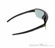 Alpina Swift HR Sunglasses, Alpina, Black, , Male,Female,Unisex, 0027-10257, 5638253410, 4003692327277, N2-17.jpg