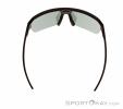 Alpina Swift HR Sonnenbrille, Alpina, Schwarz, , Herren,Damen,Unisex, 0027-10257, 5638253410, 4003692327277, N3-13.jpg