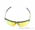 Alpina Swift HR Lunettes de soleil, Alpina, Vert foncé olive, , Hommes,Femmes,Unisex, 0027-10257, 5638253411, 4003692327260, N3-03.jpg