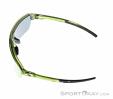 Alpina Swift HR Lunettes de soleil, Alpina, Vert foncé olive, , Hommes,Femmes,Unisex, 0027-10257, 5638253411, 4003692327260, N3-08.jpg