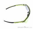 Alpina Swift HR Lunettes de soleil, Alpina, Vert foncé olive, , Hommes,Femmes,Unisex, 0027-10257, 5638253411, 4003692327260, N3-18.jpg