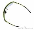 Alpina Swift HR Lunettes de soleil, Alpina, Vert foncé olive, , Hommes,Femmes,Unisex, 0027-10257, 5638253411, 4003692327260, N4-09.jpg