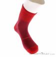 Endura Baabaa Merino Winter Herren Bikesocken, Endura, Rot, , Herren, 0409-10272, 5638253573, 5055939966335, N2-02.jpg