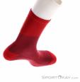 Endura Baabaa Merino Winter Herren Bikesocken, Endura, Rot, , Herren, 0409-10272, 5638253573, 5055939966335, N3-18.jpg