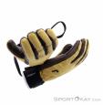 Reusch Highland R-Tex XT Guantes, Reusch, Marrón, , Hombre,Mujer,Unisex, 0124-10129, 5638273559, 4060485339572, N5-20.jpg