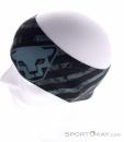 Dynafit Graphic Performance Headband, Dynafit, Blue, , Male,Female,Unisex, 0015-11841, 5638279486, 4053866751025, N3-08.jpg