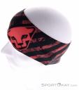 Dynafit Graphic Performance Headband, Dynafit, Pink, , Male,Female,Unisex, 0015-11841, 5638279487, 4053866751032, N3-08.jpg