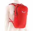 Salewa Ultra Train 18l Rucksack, Salewa, Rot, , Male,Female,Unisex, 0032-10800, 5638285374, 4053866556958, N1-01.jpg