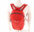 Salewa Ultra Train 18l Rucksack, Salewa, Rot, , Herren,Damen,Unisex, 0032-10800, 5638285374, 4053866556958, N3-03.jpg