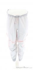 Salewa NXT PTX 3L Mens Outdoor Pants, Salewa, Light-Gray, , Male, 0032-11601, 5638292361, 4053866757065, N3-03.jpg